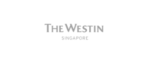 Executive Protection Companies in Singapore